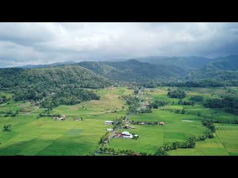 Drone Footages by SJRC F22 S3 PRO | Kopi Ampirono, Kulon Progo, DI Yogyakarta