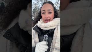 Activists stage peaceful protest on Martin Luther King Jr. Day in Saranac Lake, NY