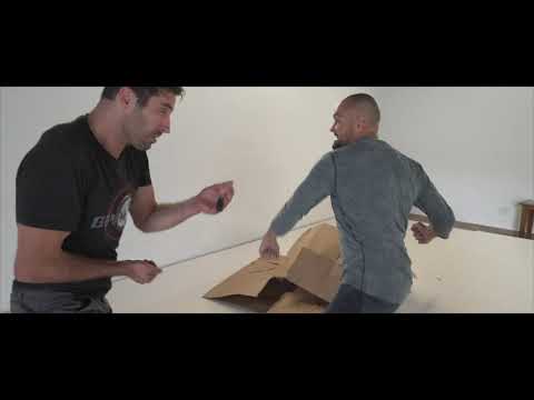 McG vs PETROV FIGHT