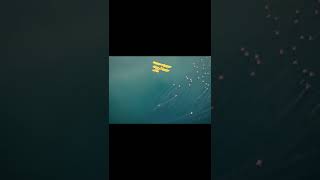 Color Grading Couse #learnadobe   #shorts