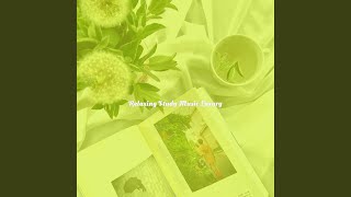 Tranquil All Night Study Sessions