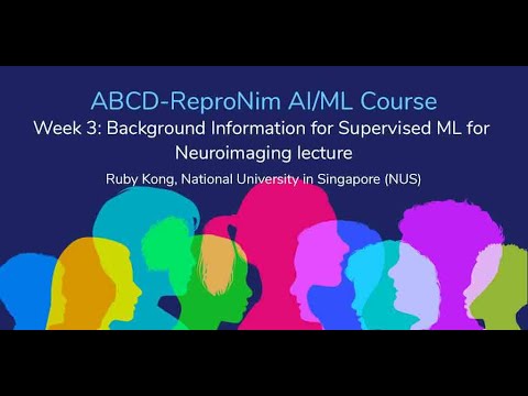 AI/ML Course Week 3: Background Material/Appendix for Supervised Machine Learning for Neuroimaging