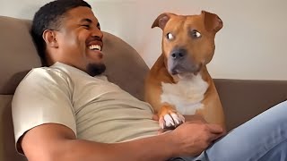 Dog Really Knows What You Mean 🤪 Funny Dog Videos 2025