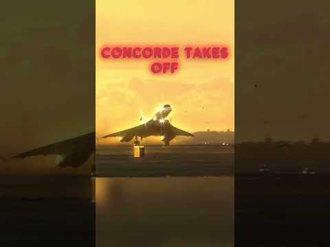 W Concorde #aviation #avgeek #concorde #viral