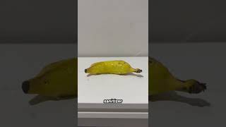 I made a game to sanitize my pc #gamedev #devlog #funny #shitpost #memes #meme