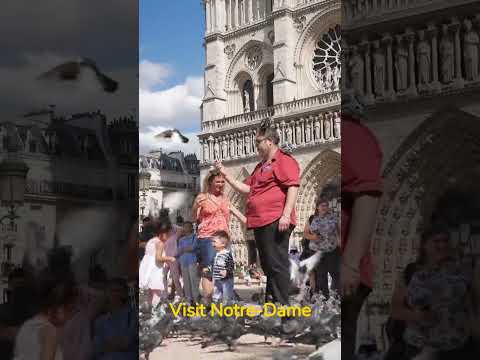 The most amazing top 5 things to do in Paris ever!!!