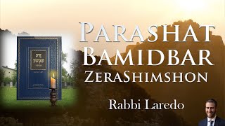 Zera Shimshon - Parashat Bamidbar Part 2