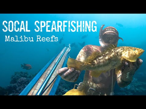 Spearfishing Malibu with River Hagg