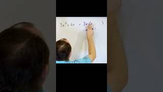 A Visual Guide to Factoring Polynomials for Students