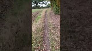 Follow RHFE to FC Straight on through hedge gap