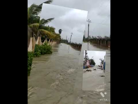 Nature video || destructive nature|| rain || #shorts #ytshortsindia #whatsappstatus