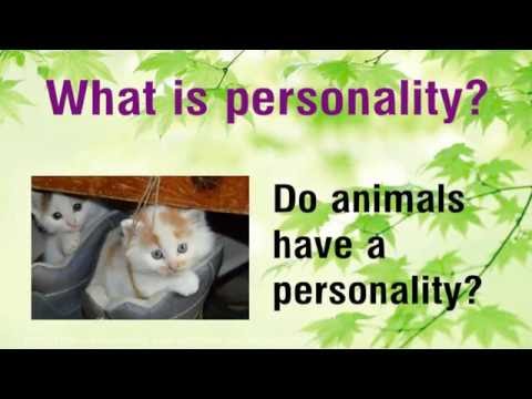 Personality testing- Myth of Personality Testing