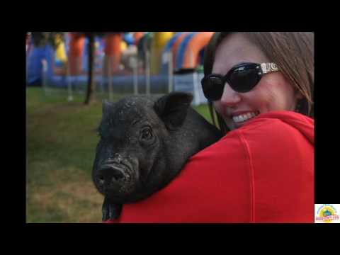 MB Hometown Fair 2016