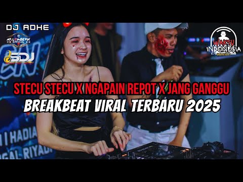 DJ BREAKBEAT VIRAL TERBARU 2025 - DJ STECU STECU X NGAPAIN REPOT X JANG GANGGU - DJ ADHE