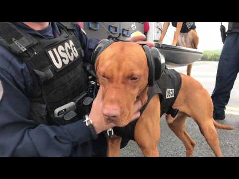 USCG VDEL Interview