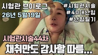 [시험관브이로그]시험관시술44차 채취만도 감사할 따름입니다 
