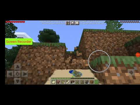 My first world in minecraft