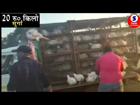 Murga badnam bhail  korona tohre khatir😛😛😛😛😛😛🤣🤣kavno ilaj naikhe korona Tora liya