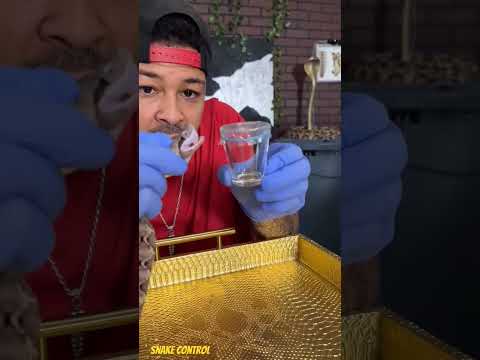 Snake poison. #short