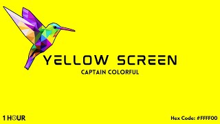 Yellow Screen! 1 Hour - Hex Code: #FFFF00 (HD)