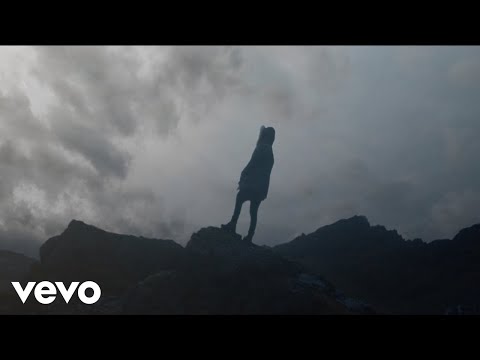 Zacari - Lone Wolf