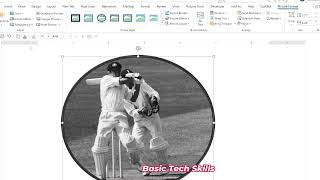 How to make circle photo in ms word