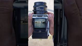 Hasselblad 202FA & CFV 100C｜Timeless Reflections in Medium Format