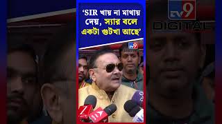 'SIR খায় না মাথায় দেয়, স্যার বলে একটা গুটখা আছে'| #Shorts | #TV9D