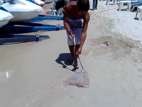 Thailand Phuket Patong - Meduza