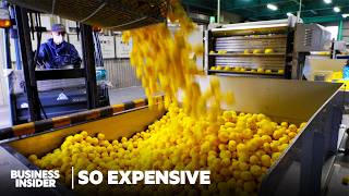 Japan Harvests 27,000 Tons Of Yuzu. So Why Can't The US Import It? | So Expensive | Business Insider