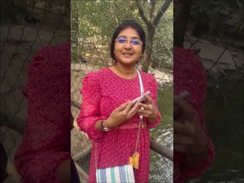 Birdie Birds✨ #viral #trendingshorts #shortvideo #shorts