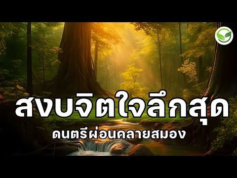 สงบจิตใจลึกสุดเมื่อได้ฟัง ดนตรีผ่อนคลายสมอง ช่วยบรรเทาความกังวล คิดมาก เบาสบายหัวขึ้น ดนตรีบำบัด