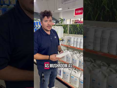 #workhumor #dadjokes #customerservice #fyp #fypyoutube #viralshorts #comedy #trendingshorts #funny