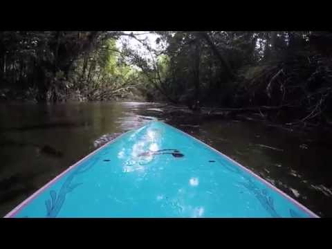 Stand Up Paddle (SUP) Board Mossman River, Tropical North Queensland
