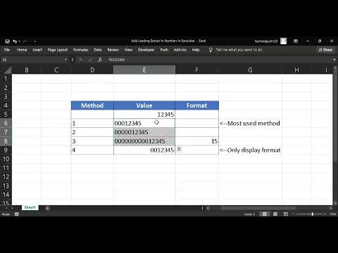 4 Different Methods - How to add Leading Zeroes in Excel to Numbers