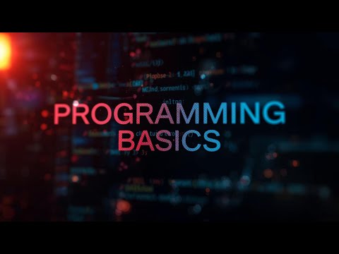 4 - Programming Basics