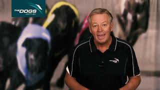 TheDogs.com.au Week In Review with Mark Duclos 22022021