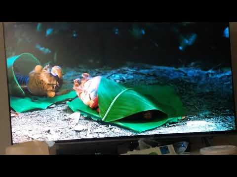 Alvin and the Chipmunks: Chipwrecked - Simon Turns French