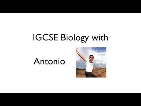 IGCSE Biology Triple Science Education Videos - all triple knowledge in 1 video!