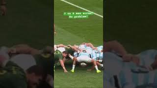 Scrum Domination! #scrum #rugby #southafricarugby #springboks #ox