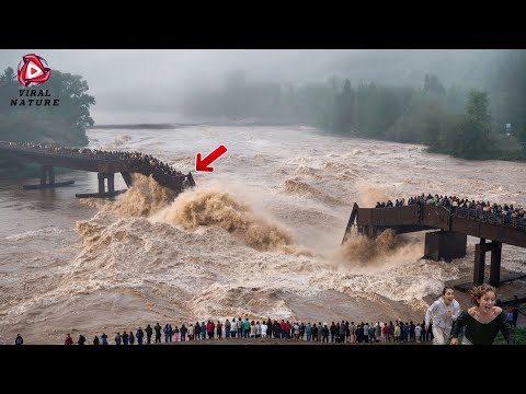 One in a Billion Moments in Nature - Best of 2025 #58