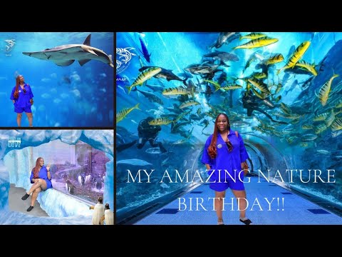 How I spent my Birthday  at dubai aquarium with the fishes. #dubaivlog