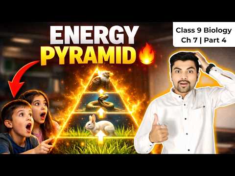 10% Law of Energy Transfer | Energy Pyramid | Class 9 Biology Ch 7 | Part 5