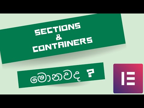 Wordpress : What we can do with sections and containers