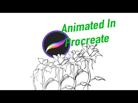 Animating In procreate