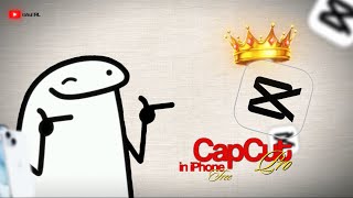 How to Use CapCut Pro in iPhone?🫨 | Resolve CapCut Export Problem in iPhone | iPhone 15 | rahul IRL