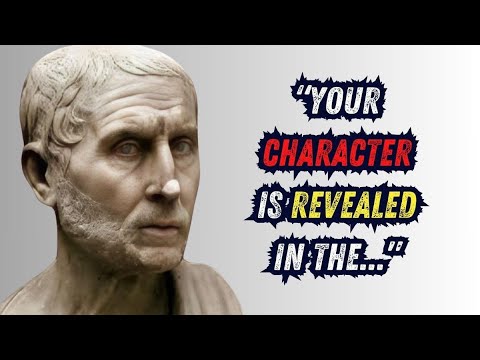 Posidonius vs Other Stoic Philosophers What's the BEST Choice for You? | Thinking Tidbits
