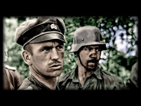 SS Confessions: Bloody Commanders First Battles | WW2 War Story, Kurt Meyer 