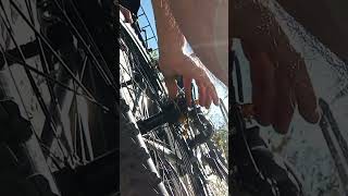. Color ride/Didn't see