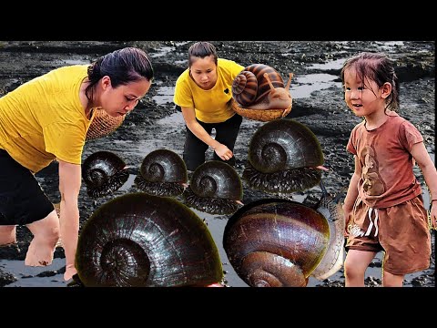 Single Mom Finds Giant Snail in the Mud While Pregnant—Raw Survival